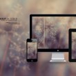 word2010默认视图方式是哪一种
